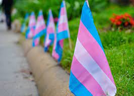 transgender people taking "gender-affirming" hormones are at "significantly increased risk"