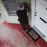 Woman Caught on Doorbell Cam Taking Ballots Amid Voter Fraud Probe