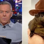 Greg Gutfeld: You ‘Red Pill’ Americans By Raiding Their Homes And Murdering Their Pets