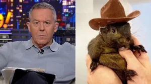 Greg Gutfeld: You ‘Red Pill’ Americans By Raiding Their Homes And Murdering Their Pets