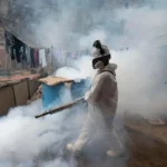 Record Outbreak Of Dengue Fever In Central And South America