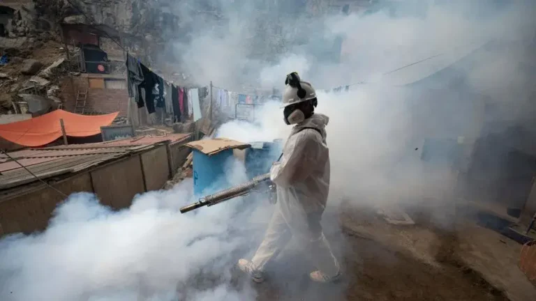 Record Outbreak Of Dengue Fever In Central And South America