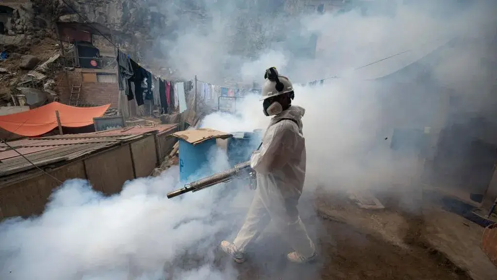 Record outbreak of dengue fever in Central and South America