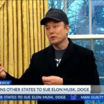 Democrats’ Lawfare Threatens To Sideline Musk And DOGE